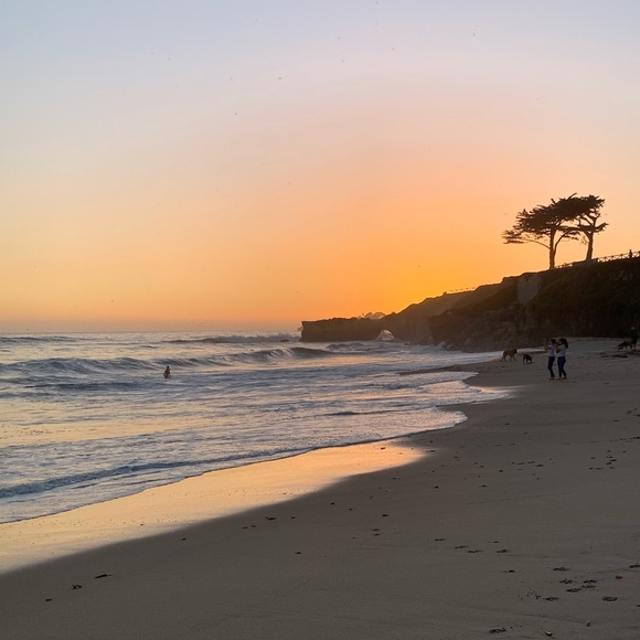 Meet your Posher, Carlota - Picture 3 of 5